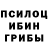 Псилоцибиновые грибы мицелий Zurion