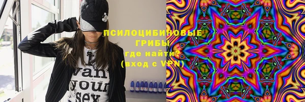 крисы Арсеньев